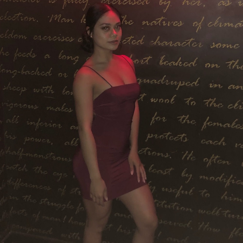 Windsor burgundy bodycon dress